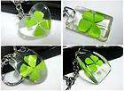 24pcs real four leaf Clover Mix style Lucky Key chains