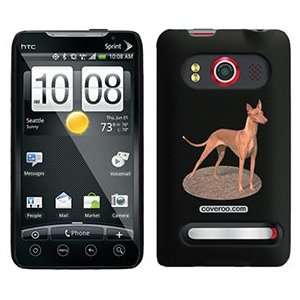  Pharaoh Hound on HTC Evo 4G Case  Players 