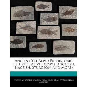   Hagfish, Sturgeon, and More) (9781241310103) Beatriz Scaglia Books