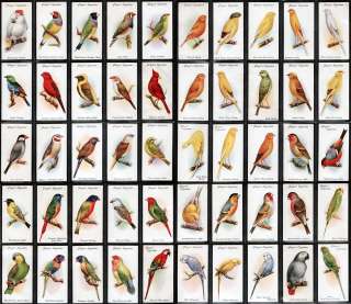 1933 Players Cigarette Cards set Aviary & Cage Birds  