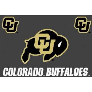  Colorado Buffaloes 4 x 6 Area Rug