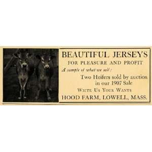  1907 Ad Hood Farm Agriculture Lowell Massachusetts Jersey 