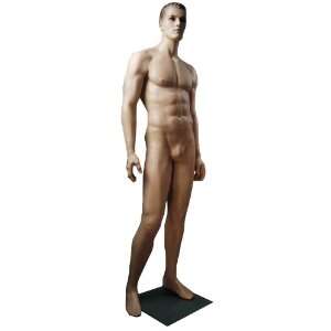  Brand New Realistic Male Mannequin. MH GM24 MFG 