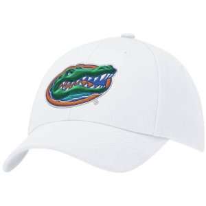  Nike Florida Gators White Swoosh Flex Fit Hat: Sports 