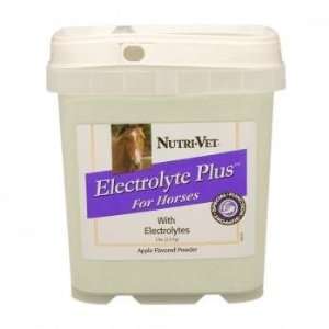  Equine Electrolyte Supplement   Electrolyte Plus Provides 