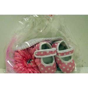   Gerber Daisy Baby Girl Beanie and Bootie Gift Set: Everything Else