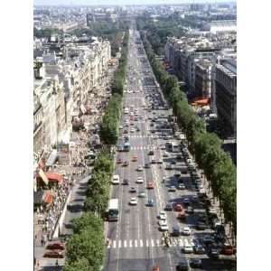 Les Champs Elysées   Peel and Stick Wall Decal by 