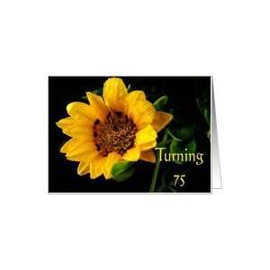  75th Birthday, yellow Gazania Card Toys & Games