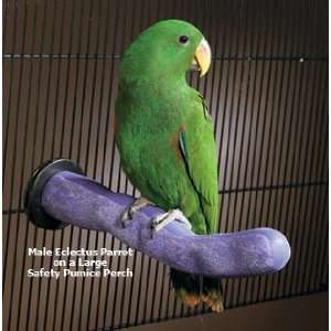  Sweet Feet and Beaks 14004 Large Safety Pumice Perch Pet 