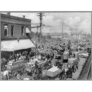  Hauling cotton to market,Street crowded with cotton wagons 
