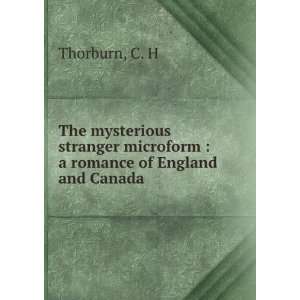  The mysterious stranger microform  a romance of England 