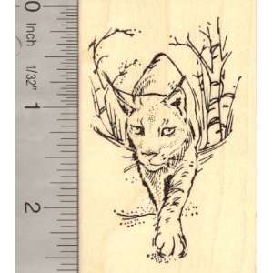  Lynx Rubber Stamp, Wildlife Bobcat, Cat: Arts, Crafts 