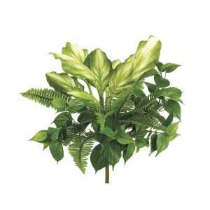   Fern/Philodendron Bush X7 W/95 Lvs. Green (Pack of 6)