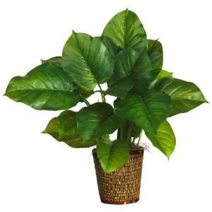   Philodendron Silk Plant (Real Touch) Green Colors   Silk Plant: Home