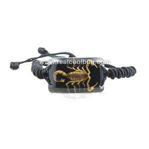 Real Golden Scorpion Bracelet COOL Black Background  