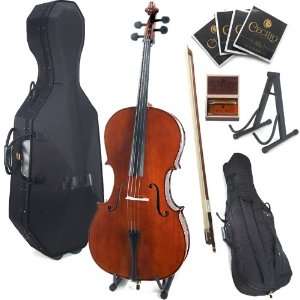   Soft Case, Bow, Rosin, Bridge, Strings and Stand: Musical Instruments