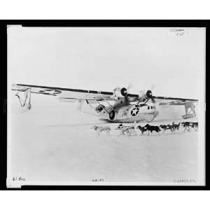  Rescue crew,B 17 bomber plane,Greenland,1943,dog team 