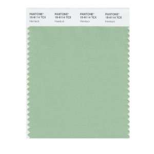  PANTONE SMART 15 6114X Color Swatch Card, Hemlock: Home 