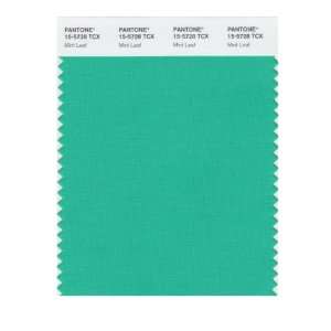  PANTONE SMART 15 5728X Color Swatch Card, Mint Leaf: Home 