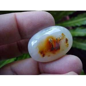  Zs0913 Gemqz Moss Agate Oval Cabochon Cute  Everything 