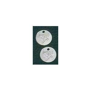  Silver Tone Loose Coins (appx 100pcs) JW101 Everything 