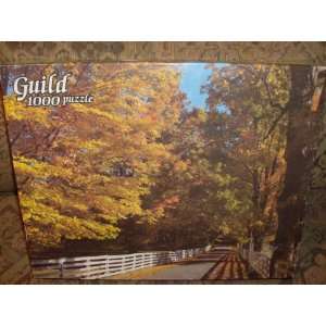  The Changing Colors of Autumn 1000 Piece Puzzle By Guild 