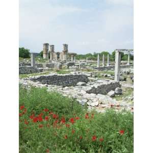  Town Built for Octavia Over the Assassins of Julius Caesar 