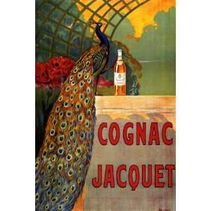 COGNAC JACQUET PEACOCK DRINK LARGE VINTAGE POSTER REPRO  