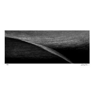  Stillness IV by Anthony Tahlier, 30x14: Home & Kitchen