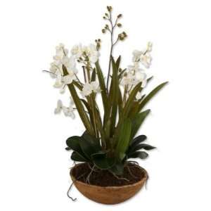  MOTH ORCHID PLANTER Patio, Lawn & Garden