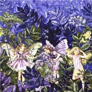  Michael Miller fabric Night Fairies starry sky (Sold in 