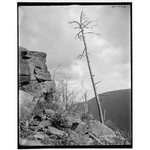   Sunset Rock,Kaaterskill Clove,Catskill Mountains,N.Y.