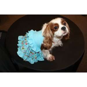  Blue Bumble Bee Spring Dog Dress: Pet Supplies