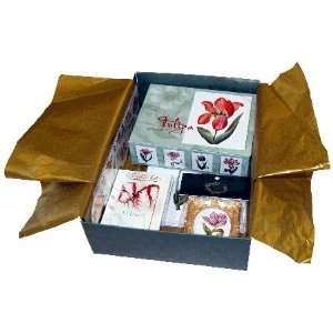  Tulips   Special Gift Box Set