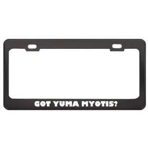 Got Yuma Myotis? Animals Pets Black Metal License Plate Frame Holder 