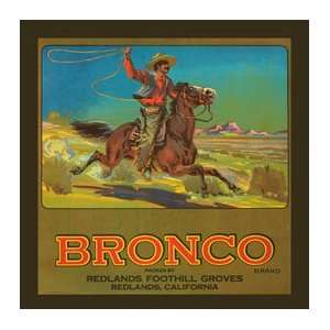    Bronco Metal Sign: Country Home Decor Wall Accent: Home & Kitchen