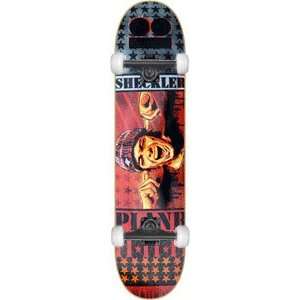 Plan B Sheckler No Future Mini Complete Skateboard   7.5 w 