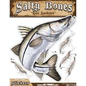  Salty Bones Large Snook Action Decal   13.5 x 10.5 