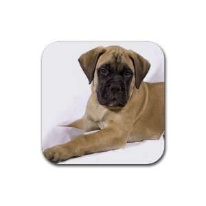  bullmastiff Puppy Dog 4 Rubber Coaster (4 pack) DD0679 