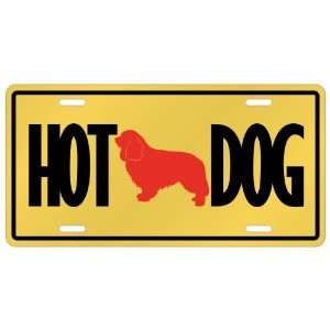   King Charles Spaniels   Hot Dog  License Plate Dog: Home & Kitchen