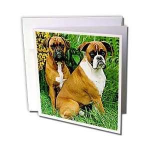  Dogs Boxer   Boxer   Greeting Cards 6 Greeting Cards with 