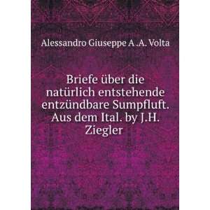   dem Ital. by J.H. Ziegler . Alessandro Giuseppe A .A. Volta Books