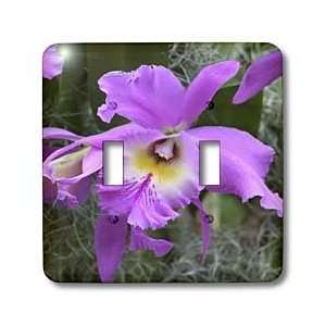 SmudgeArt Orchid Flower Designs   ORCHID   Z   Light Switch Covers 
