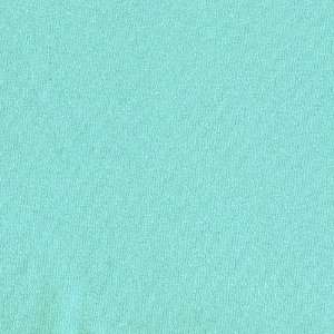   /Lycra Stretch Jersey Aqua Fabric By The Yard Arts, Crafts & Sewing