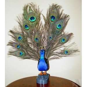  Motion Animated Squawing Peacock Statue Decoration