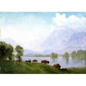  Oil Painting: Buffalo Country: Albert Bierstadt Hand 