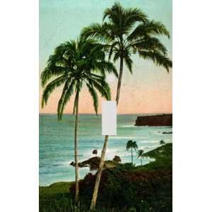  Beach Palm Trees Decorative Switchplate Cover: Home 