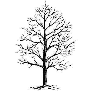 Wood Mounted Rubber Stamp Winter Tree Electronics