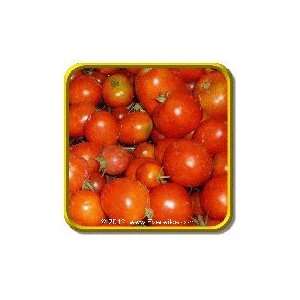 Siberian   Jumbo Heirloom Tomato Seed Packet (50): Patio 