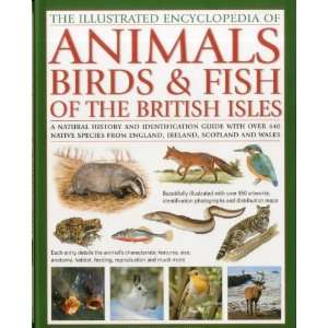   Isles A natural history and identi [Hardcover] Tom Jackson Books